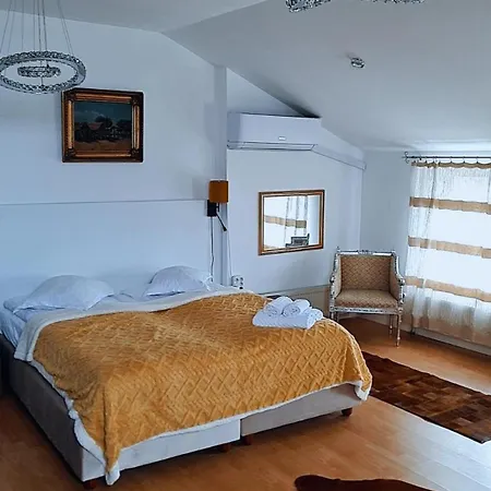 Gasthuis Texas Timişoara