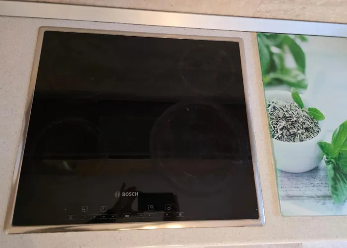 Texas بيت ضيافة تيميشورا